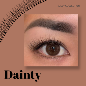 Ailey D.I.Y Lash Refill Kit