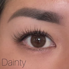 Load and play video in Gallery viewer, Ailey D.I.Y Lash Refill Kit
