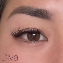Load and play video in Gallery viewer, Ailey D.I.Y Lash Refill Kit

